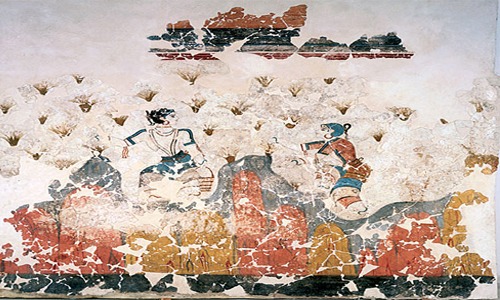 تاریخچه زعفران
